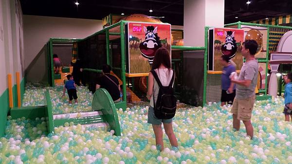 P_20160808_133244.jpg P_20160808_133244.jpg