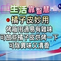 【生活靠智慧】橘子皮於烤箱的妙用