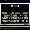 【新聞關鍵字】WTO-1