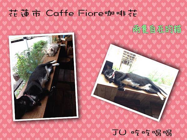花蓮市  Caffe Fiore咖啡花4.jpg