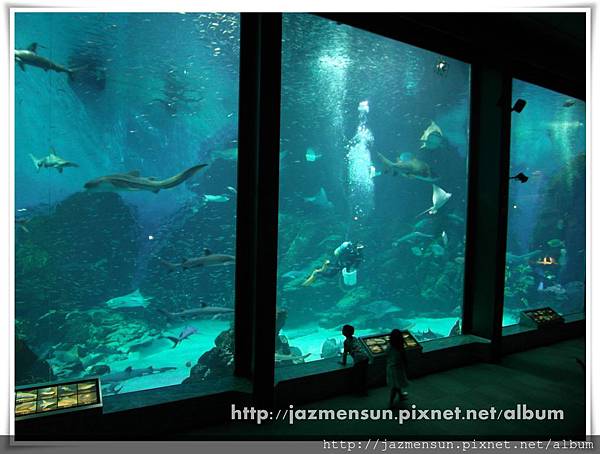 九州行day3 Marine World 海の中道水族館 海的中道水族館 Jazmen 生活日記 痞客邦