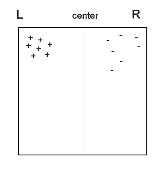raw-image