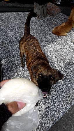 IMG_20140525_143309.jpg IMG_20140525_143309.jpg