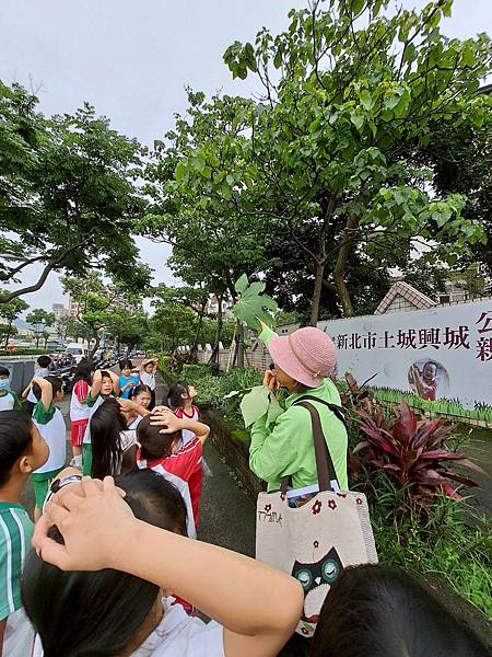 20250605土城國小校園植物解說     解說老師:王賢