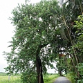 E-M5_TEST_1-02.jpg