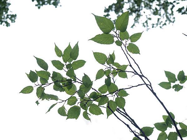 E-M5_TEST_1-05.jpg