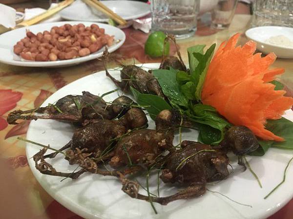 s_JPEG 影像-D570259A9EBE-40.jpeg