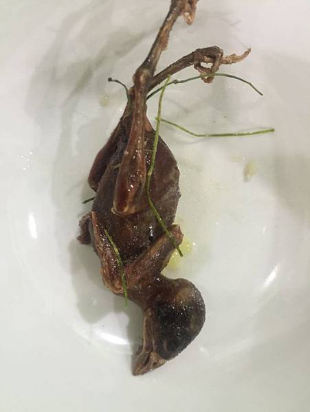 s_JPEG 影像-D570259A9EBE-43.jpeg s_JPEG 影像-D570259A9EBE-43.jpeg