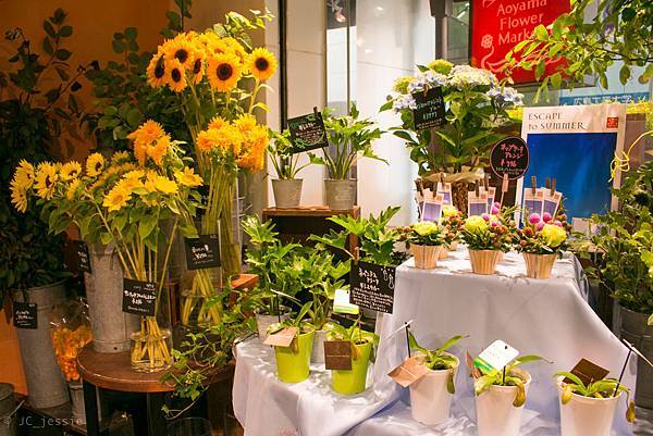 IMG_3619.jpg IMG_3619.jpg