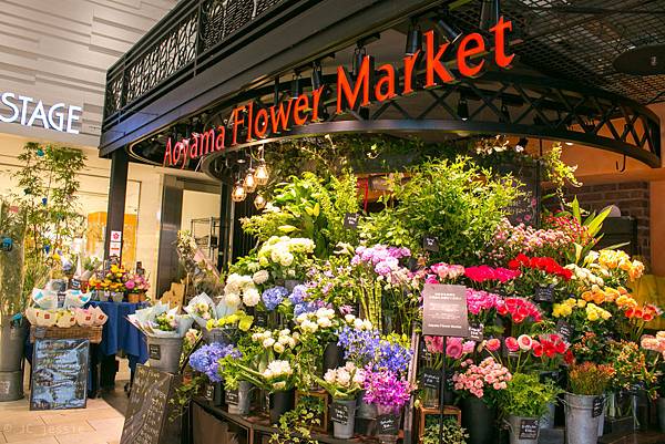 IMG_3618.jpg IMG_3618.jpg