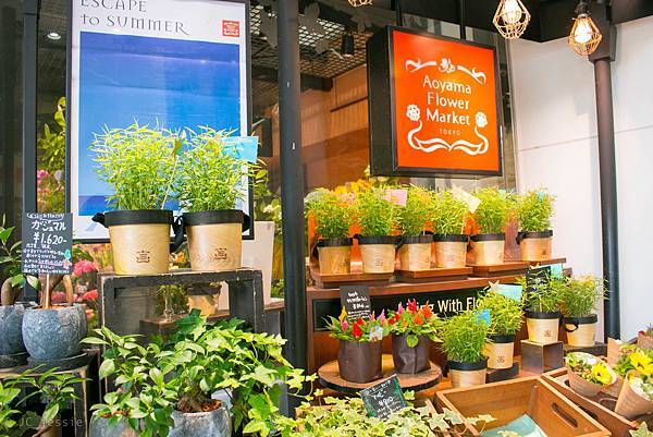 IMG_3617.jpg IMG_3617.jpg