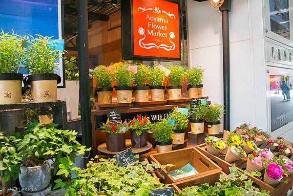 IMG_3616.jpg IMG_3616.jpg