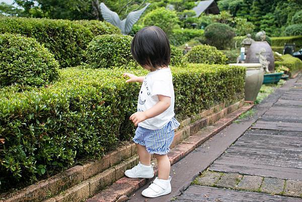 IMG_3939.jpg IMG_3939.jpg