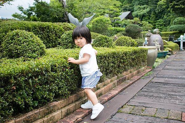 IMG_3936.jpg IMG_3936.jpg