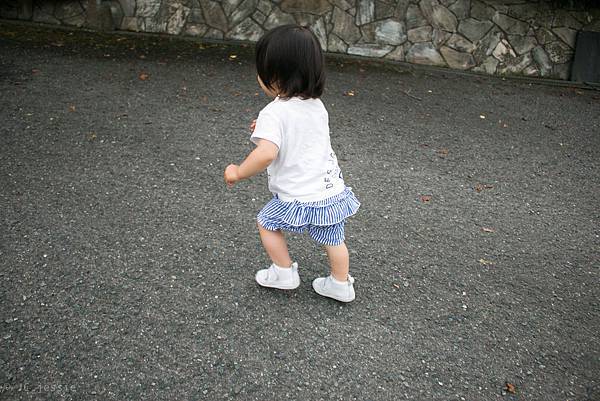 IMG_3913.jpg IMG_3913.jpg