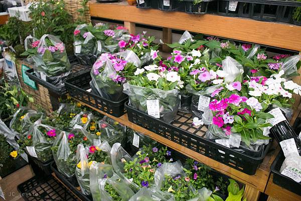 IMG_3904.jpg IMG_3904.jpg