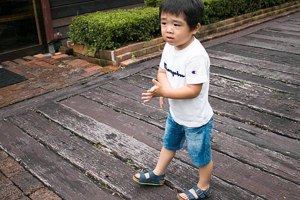 IMG_3850.jpg IMG_3850.jpg