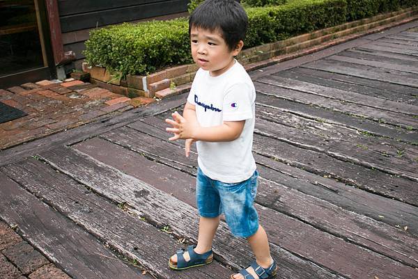 IMG_3851.jpg IMG_3851.jpg