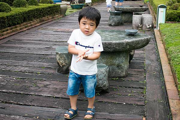 IMG_3849.jpg IMG_3849.jpg