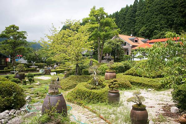 IMG_3810.jpg IMG_3810.jpg