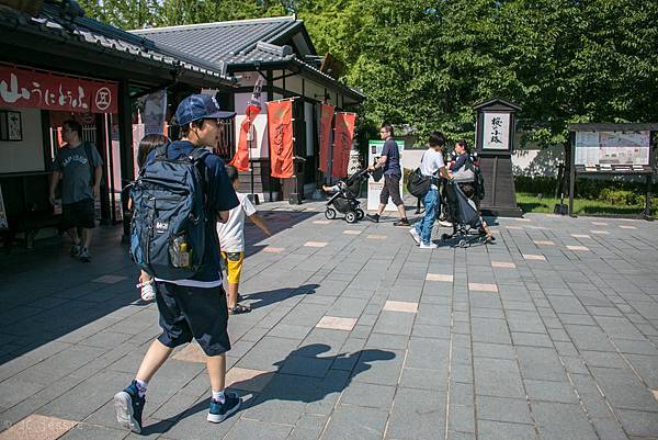 IMG_4113.jpg IMG_4113.jpg