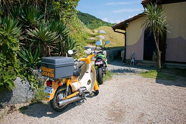 IMG_4546.jpg IMG_4546.jpg