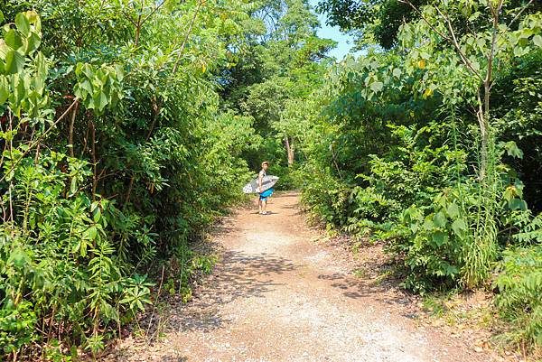 IMG_4433.jpg IMG_4433.jpg