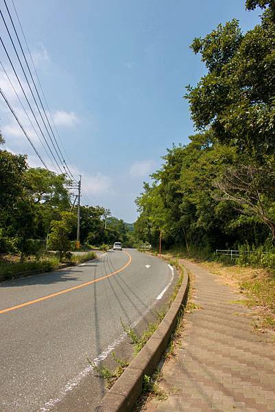 IMG_4428.jpg IMG_4428.jpg