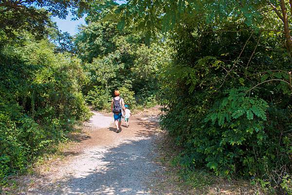 IMG_4431.jpg IMG_4431.jpg