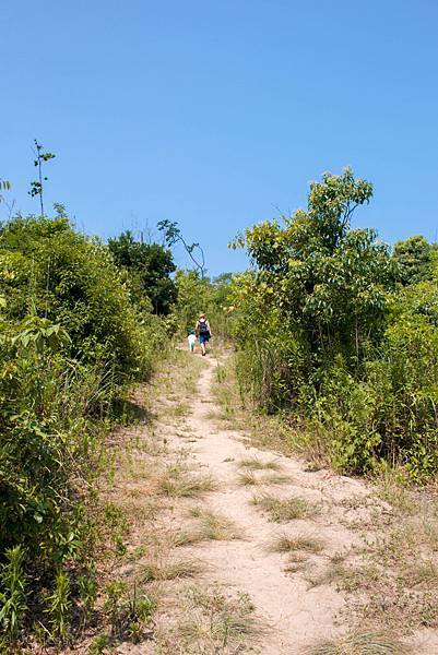 IMG_4434.jpg IMG_4434.jpg