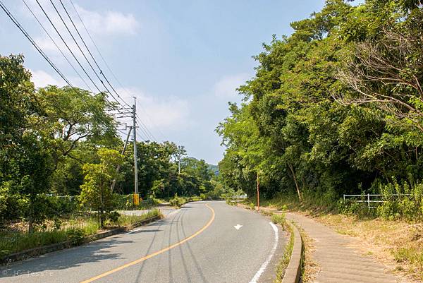 IMG_4429.jpg IMG_4429.jpg