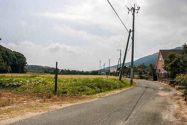 IMG_4413.jpg IMG_4413.jpg