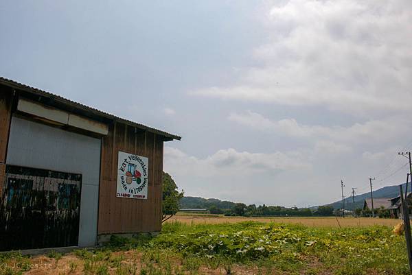 IMG_4412.jpg IMG_4412.jpg