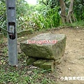 DSC07725.JPG