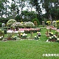 DSC09289.JPG