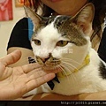 DSC09178