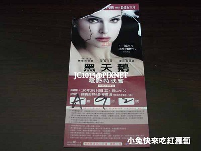 黑天鵝 黑天鵝