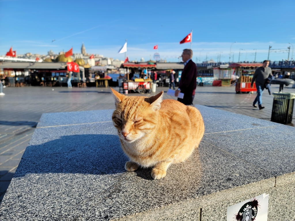 2023土耳其  伊斯坦堡 Türkiye Istanbul