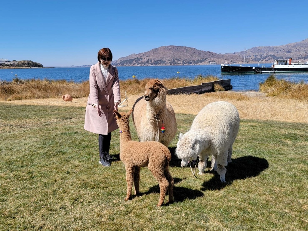 普諾 Puno & 的的喀喀湖 (Titicaca Lake