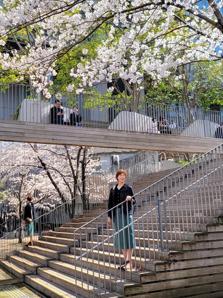 2024 東京櫻花 (3) 渋谷櫻丘