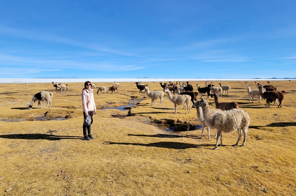 (玻利維亞) 烏尤尼鹽沼 (2) 鹽磚飯店 火山健行