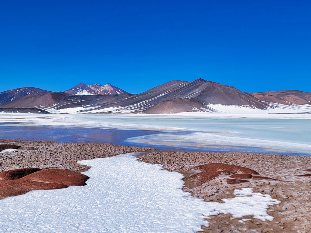 Atacama 阿他加馬沙漠(2) 鹽湖與紅鶴