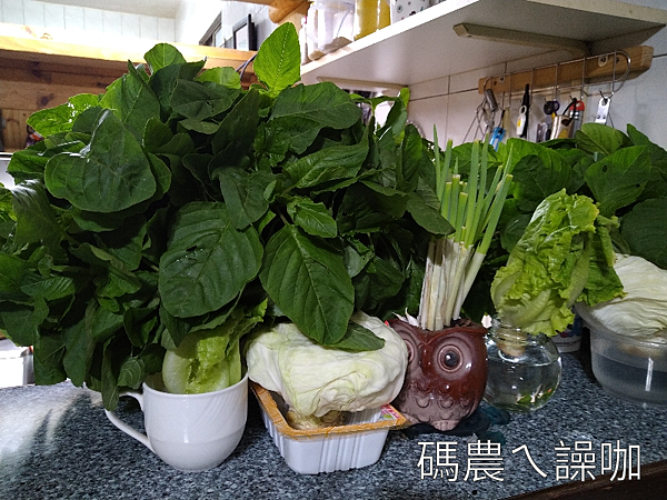 野菜園S.png