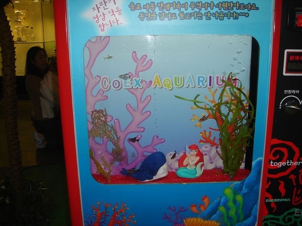 Coex水族館