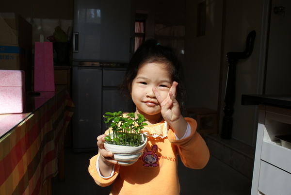 2008/3/3 香菜&amp;橘子森林