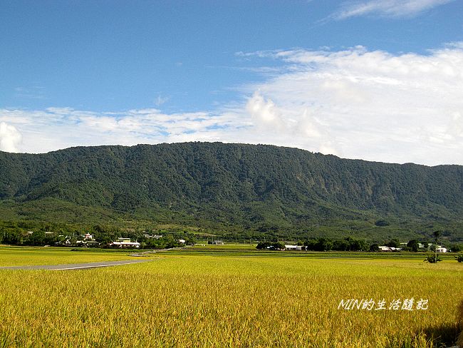 池上稻穗節 (2).JPG