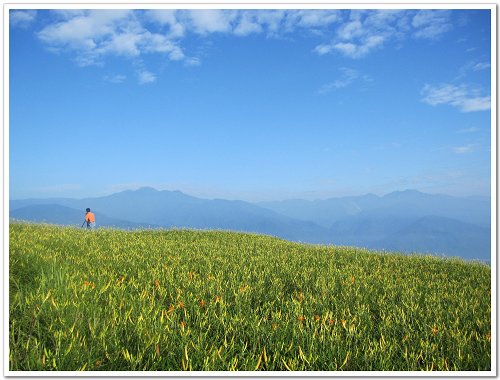 六十石山金針花 (9).JPG