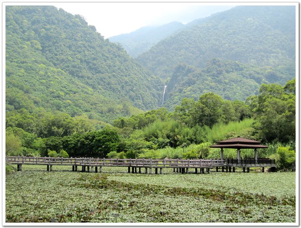 羅山有機村 (15).JPG