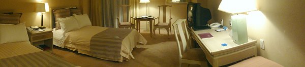 希爾頓大飯店 (1).jpg