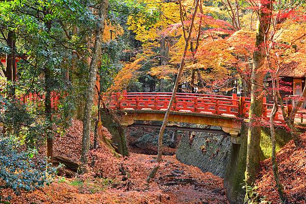 shutterstock_165889346(A red bridge in Nara, Japan under colorful fall foliage).jpg